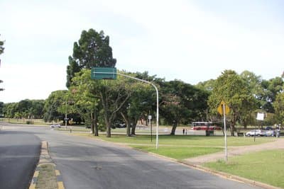 Imagen 11