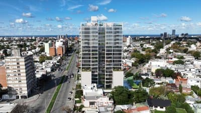 Imagen 13