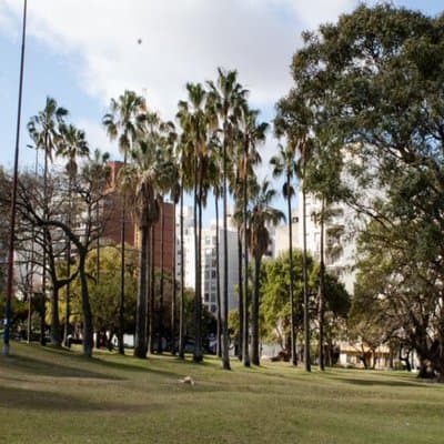 Imagen 11