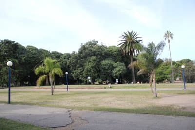 Imagen 13