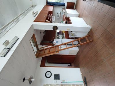 Imagen 11