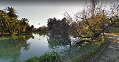 Imagen 13