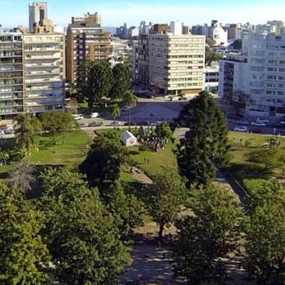 Imagen 10
