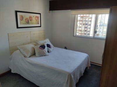 Imagen 12