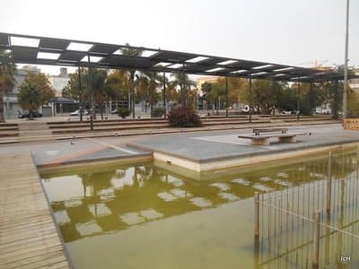 Imagen 6