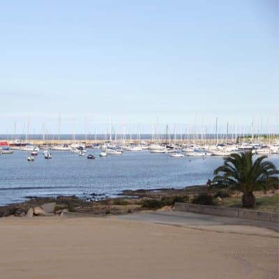 Imagen 7