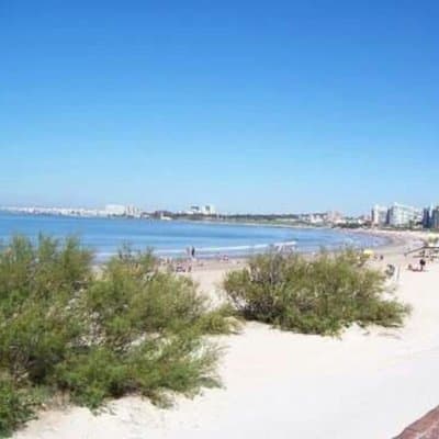 Imagen 9