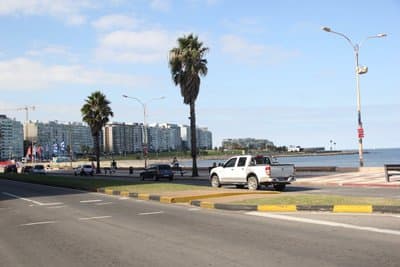 Imagen 11