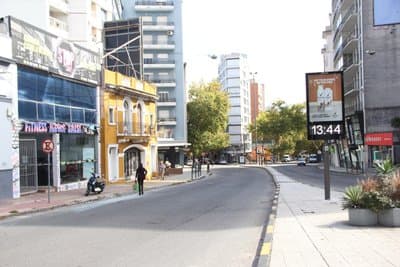 Imagen 11