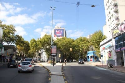 Imagen 12