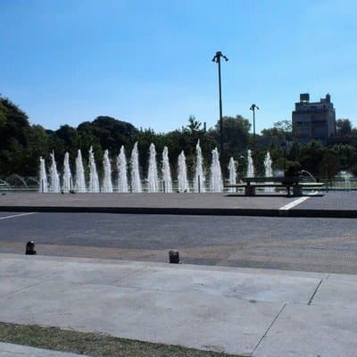 Imagen 12