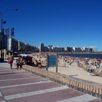 Imagen 6