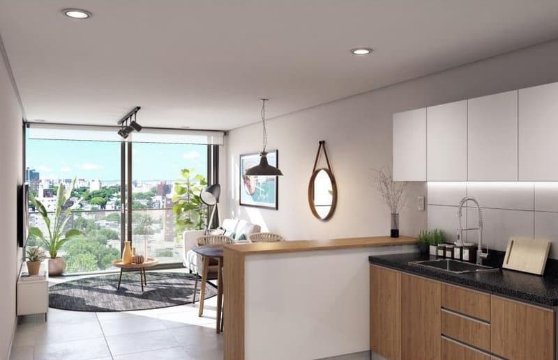 Venta apartamento monoambiente más Studio y terraza Parque Batlle Ombú Avenida
