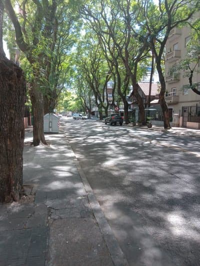 Imagen 5