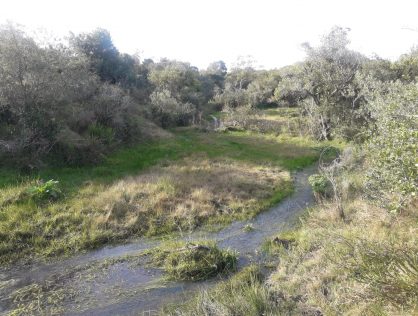 Venta campo de 10 hectáreas a 25 kms de San Carlos y a 14 kms de Valle Edén