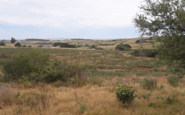 Venta campo 6.5 hectáreas a 23 kms del Faro y a 17 kms de Garzón