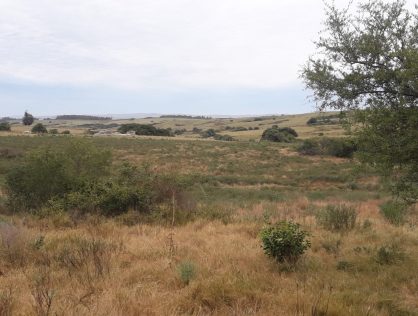 Venta campo 6.5 hectáreas a 23 kms del Faro y a 17 kms de Garzón