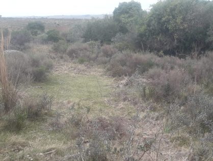 Venta campo 10 hectáreas en Maldonado a 13 kms de Garzón
