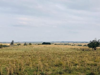 Venta campo de 8 hectáreas en Maldonado a 6 kms de Garzón