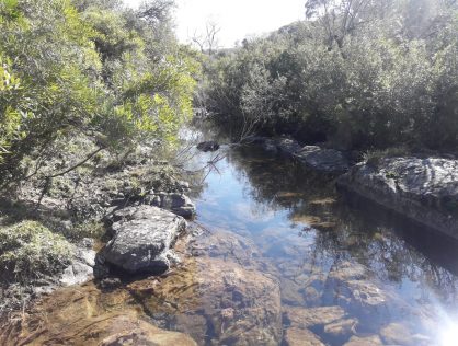 Venta campo 22 hectáreas Ruta 12 a 12 kms de Pueblo Edén