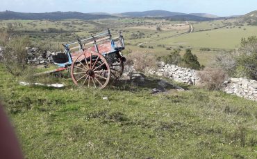 Venta campo 137 hectáreas a 8 kilómetros de Pueblo Edén, Maldonado