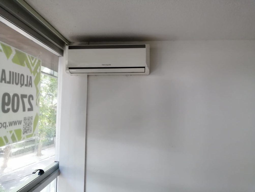 WhatsApp Image 2021-05-20 at 16.18.31