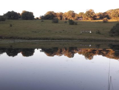 Venta campo de 57 hás a 40 kmts de Punta del Este