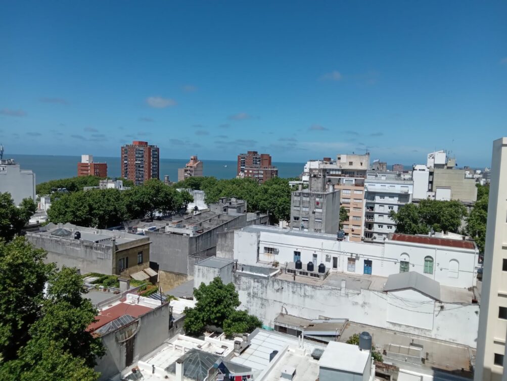 WhatsApp Image 2026-03-30 at 16.15.26 (1)