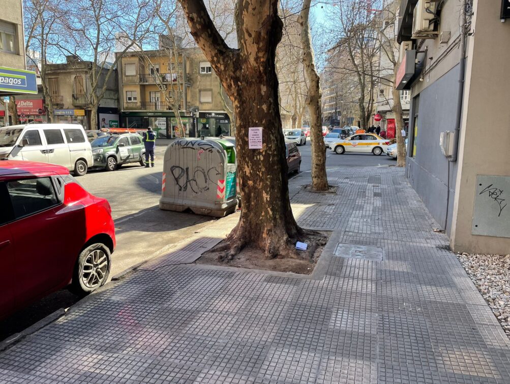 WhatsApp Image 2024-08-13 at 12.32.08 (3)