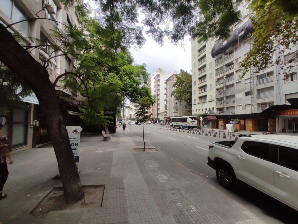 WhatsApp Image 2026-01-30 at 12.10.08