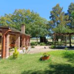 Venta chacra 10 ha próxima a Ruta Nacional Nº2 Y Pueblo Egaña Soriano