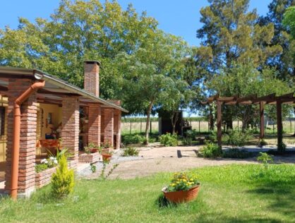 Venta chacra 10 ha próxima a Ruta Nacional Nº2 Y Pueblo Egaña Soriano