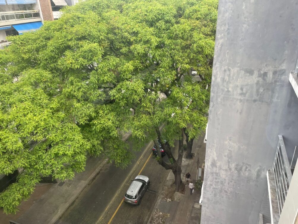 WhatsApp Image 2025-11-28 at 10.53.35 (2)