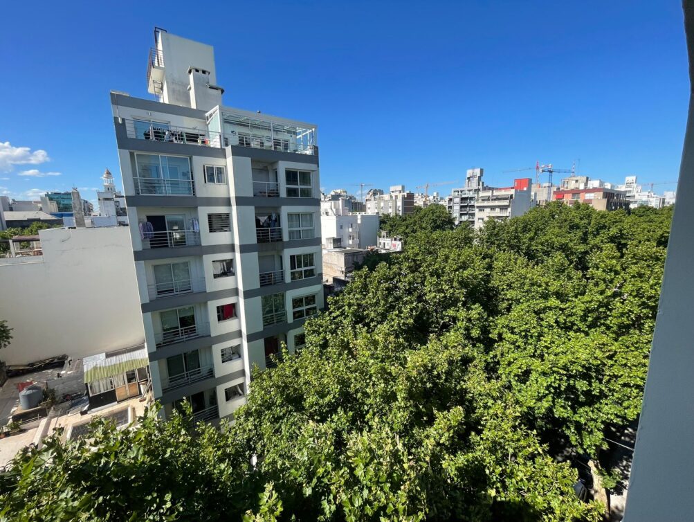 WhatsApp Image 2024-12-11 at 16.45.16