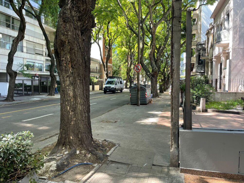 WhatsApp Image 2026-01-21 at 13.30.32 (2)