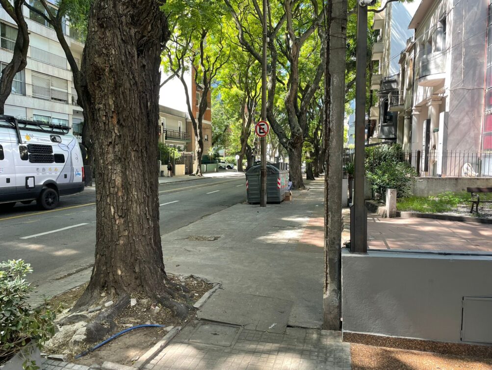 WhatsApp Image 2026-01-21 at 13.30.33 (1)